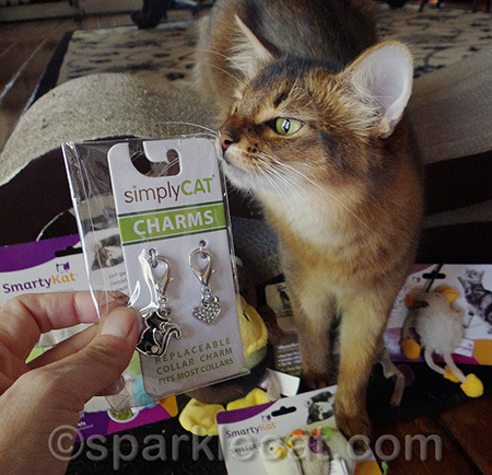 I'm going to be the blingiest therapy cat around