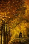 Silk Road #10