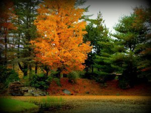 527782_10151273131075953_2056352200_n