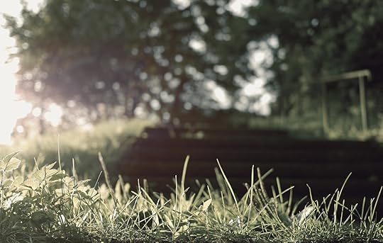 grass-full