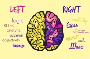 http://www.dreamstime.com/royalty-free-stock-image-brain-function-vector-illustration-image41067826