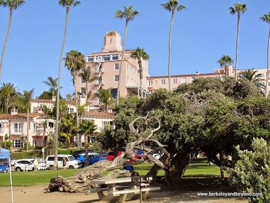 Ellen Browning Scripps Park in La Jolla, California