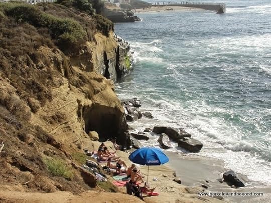 Children's Pool breakwater at Ellen Browning Scripps Park in La Jolla, California