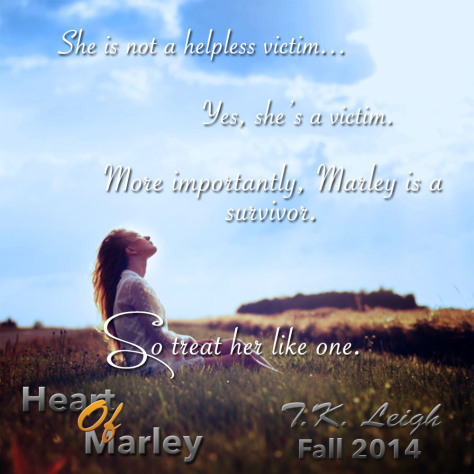 HOM Teaser 2