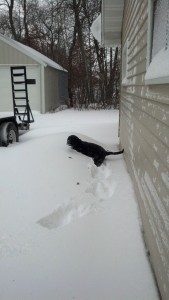 Max First Snow 2014