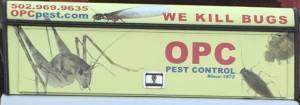 bugs
