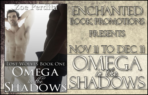 omegashadowsbanner
