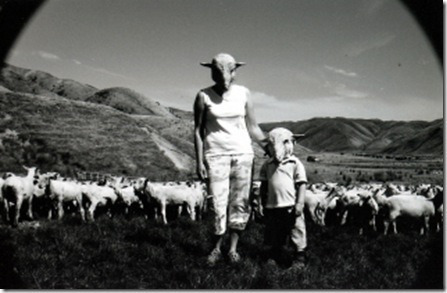 Sheep Farm(com)_thumb