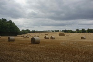 Hay bales Hambledon