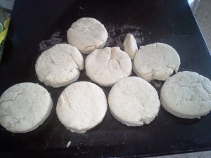 1st Unbaked GF Biscuits 11 9 2014
