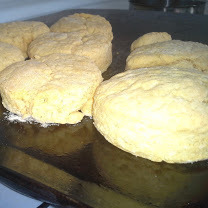 1st Baked GF Biscuits on cookie sheet 11 9 2014