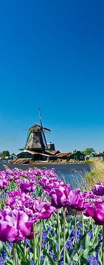 DUTCH WINDMILL