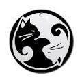 cat yin yang 3