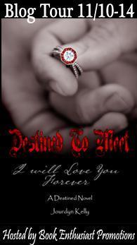 Destined to Meet Blog Tour Button