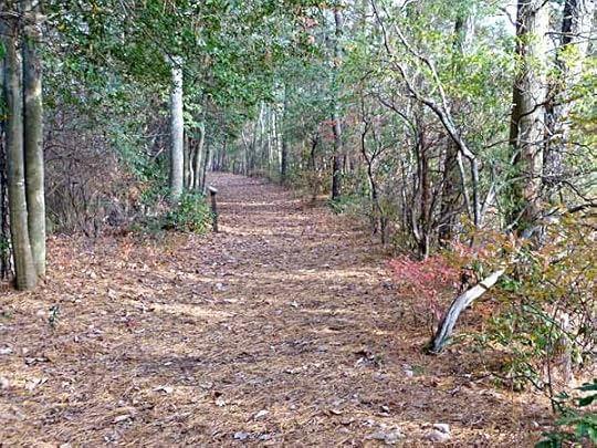 BelleplainPath