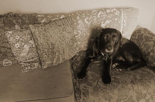 Tilly at home, 2