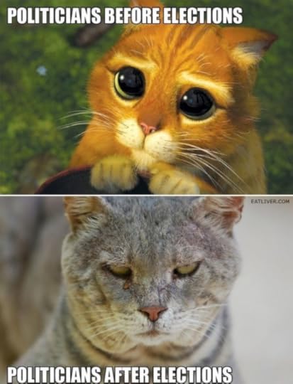 Politicians Before and After Elections(1)