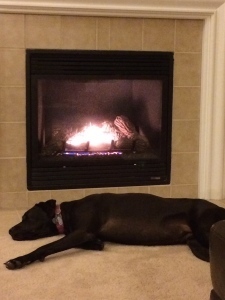 I was so tired when I got home from the hospital. 