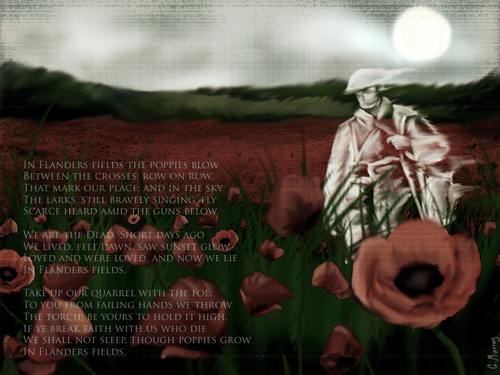 Photo courtesy of http://papermonicle.deviantart.com/art/In-Flanders-Fields-142844046