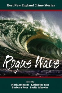 RogueWavefrontcoverFINALgoodreads