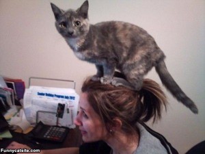 How Your Pet Can Get You Free Advertising