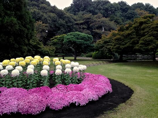 And if that isn't enough. gorgeous plantings in full bloom, throughout the garden.