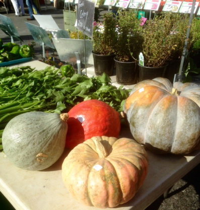 farmersmarketsquash