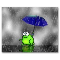 rainy_day_frog