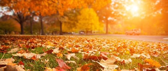 Fall Leaves