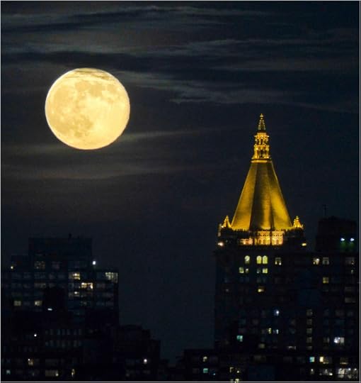 9485775495_7bf84ee08a_k