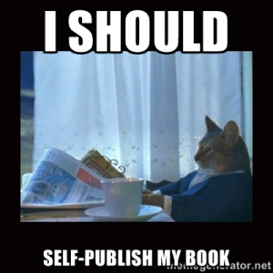 IshouldSelfPublish