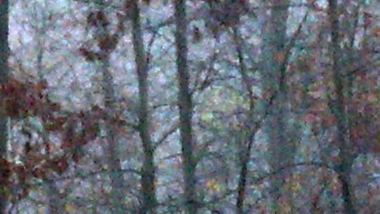 Fallsnow