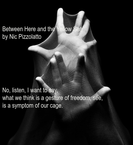  photo oie_vsGjLNQ9bCmu_zpsed7ccc9f.png