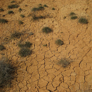 drought water sci-fi_cosmos science magazine