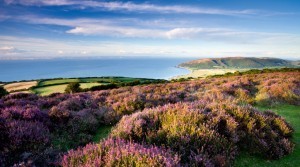 Quantock Hills