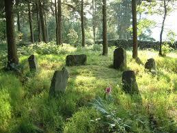 stone circle woods