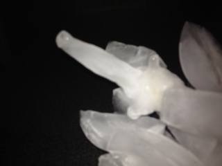 photo_2 (14)