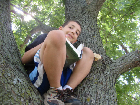 Treehouse 8