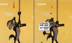 Wile-E.-Coyote
