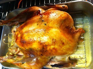 Roasted Turkey
