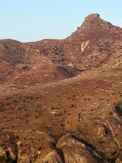 Scars and new growth at Mount Saint Helens via @JanalynVoigt