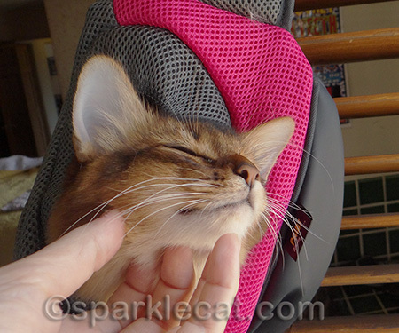 Skritches will get you everywhere