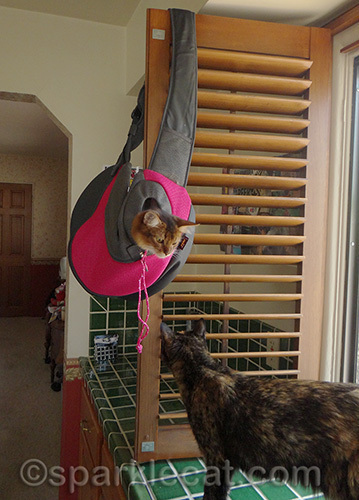 Figures she'd saunter up here.