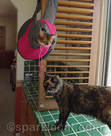 Clearly she is not going to help me down
