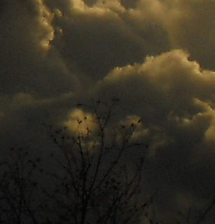 clouds, spotlight on leaves