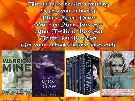What if I said you could get 21 #BOOKS for UNDER FIVE DOLLARS?! #kindle Well you can! It's the 21-5 blow out! 