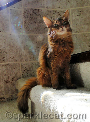 Kissed by a Sunbeam