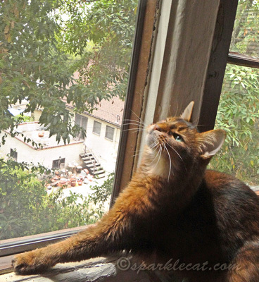 Window View