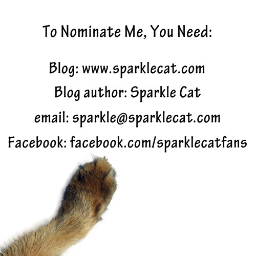 BlogPaws Nomination Info