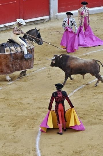 What actions are possible in this setting? What violence is possible here?